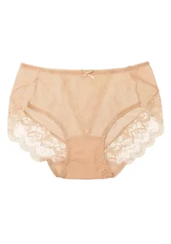 Agnes Orinda Women's Sheer Lace Trim High Rise Solid Brief Stretchy Underwear -Agnes Orinda Store Belk 2001